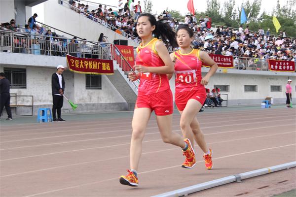 照片 376.jpg